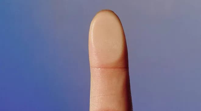 A fingerprint — your universal handle.